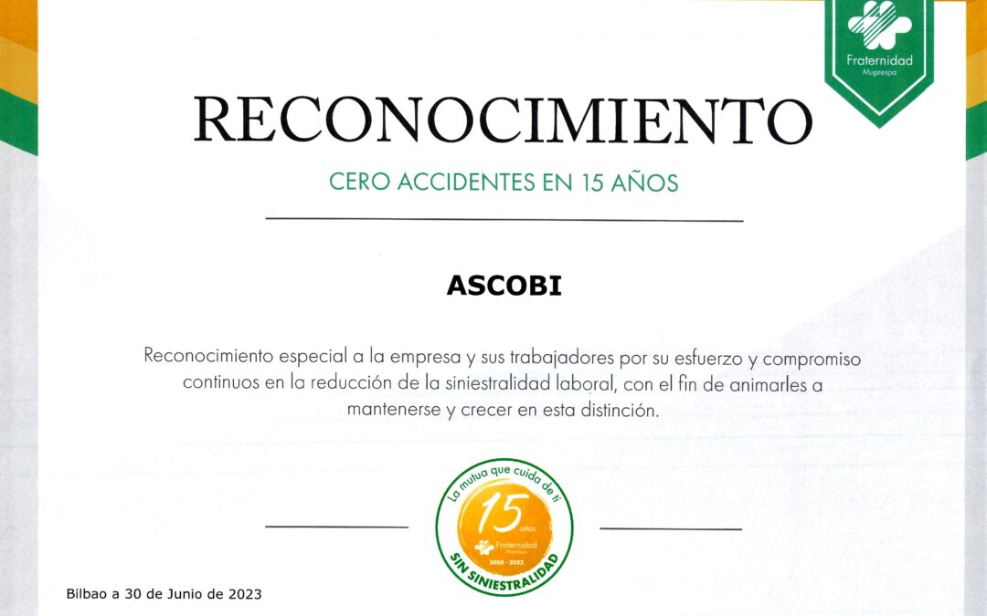 Reconocimiento 0 accidentes